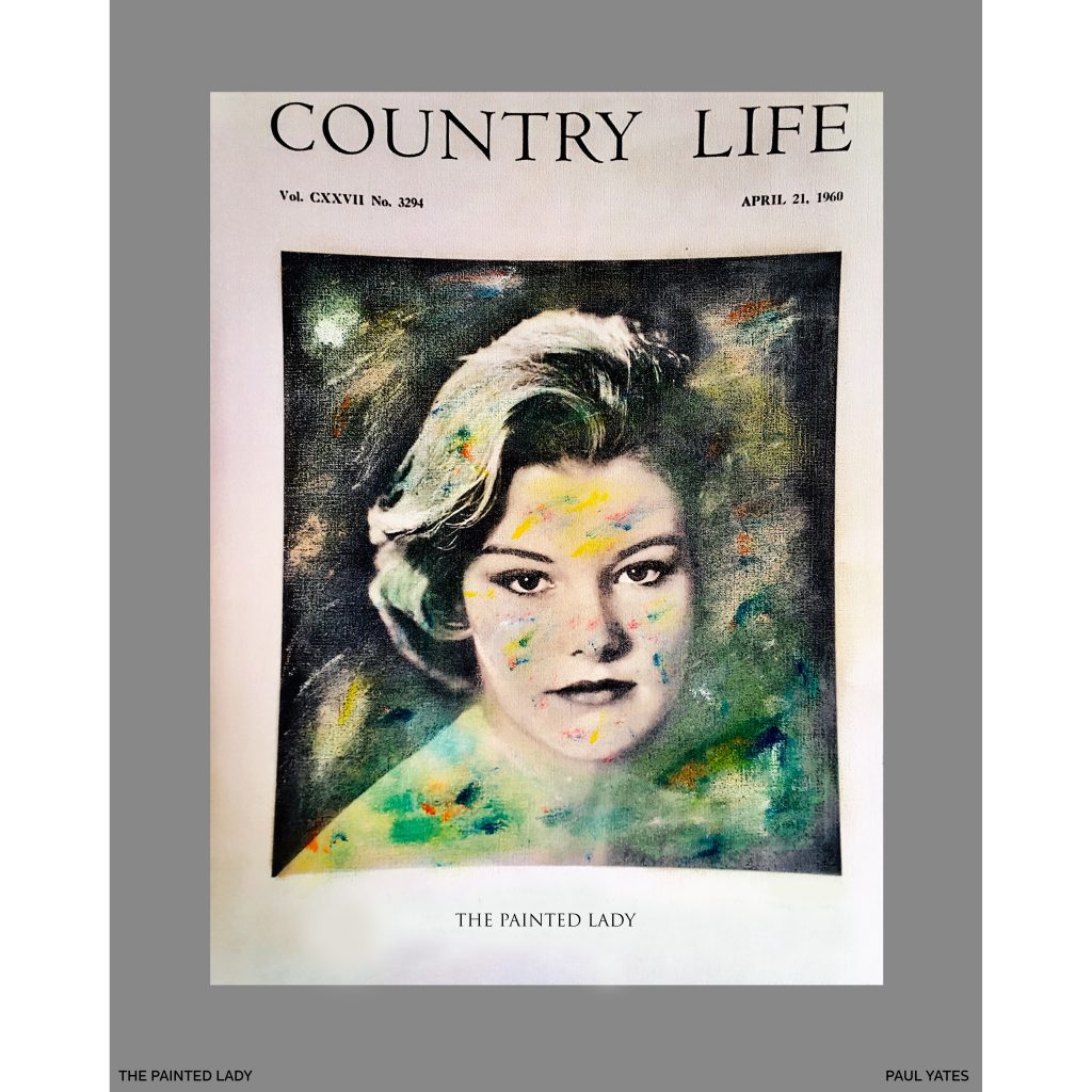 THE PAINTED LADY Paul Yates Art